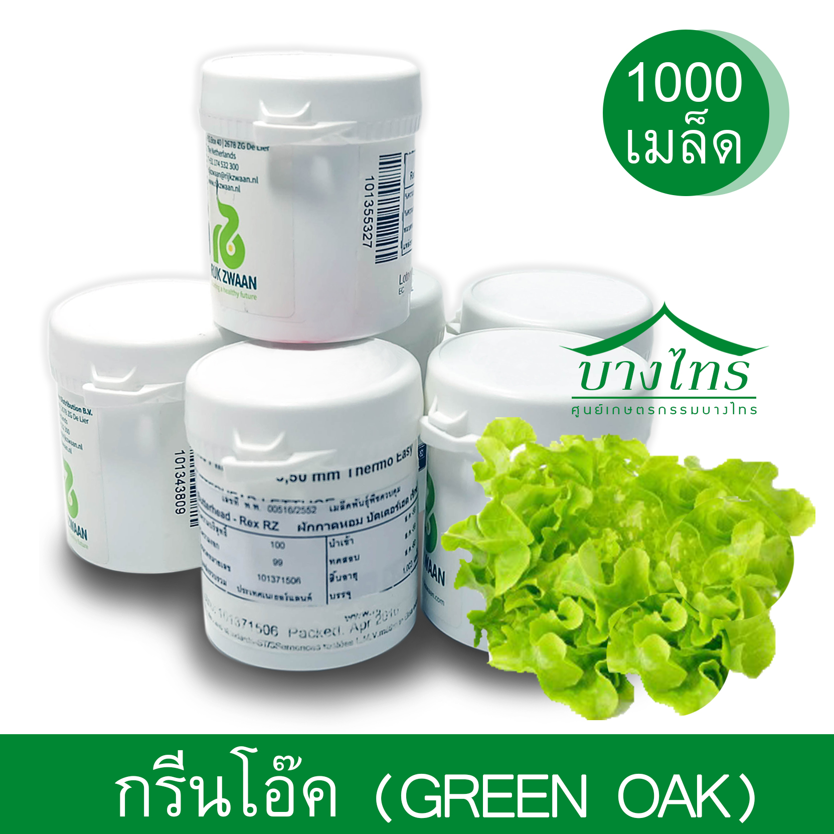 เมล็ดพันธุ์กรีนโอ๊ค / Green Oak ชนิดเคลือบ อัตราการงอก 99%