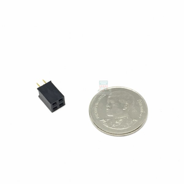 2.54mm 2x2 F Pin 5pcs