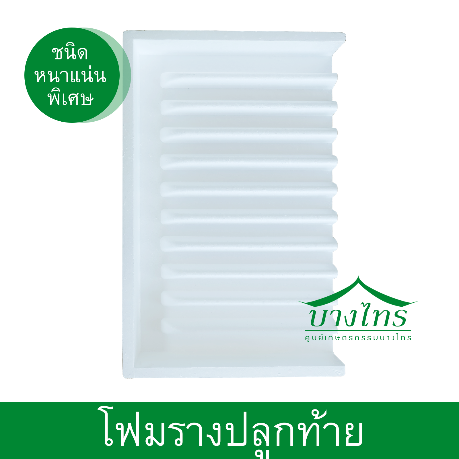 โฟมรางปลูกท้าย EPS ( ขนาด 1 x 0.60 เมตร )