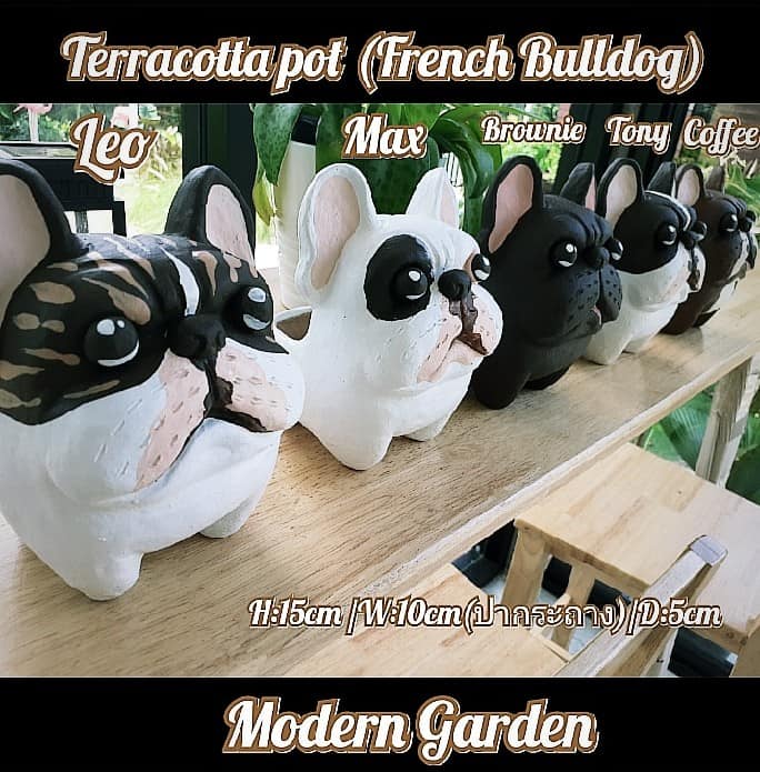 Terracotta pot (French Bulldog) กระถางน่ารัก Line:moderngarden6