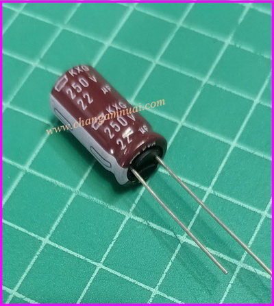 C 22uf250v
