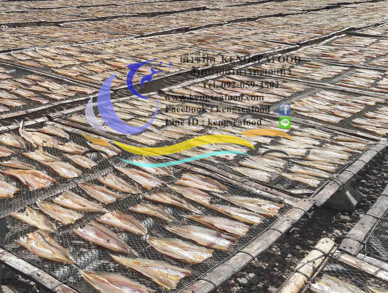 ปลาช่อนทะเลแห้ง ไซส์เล็ก