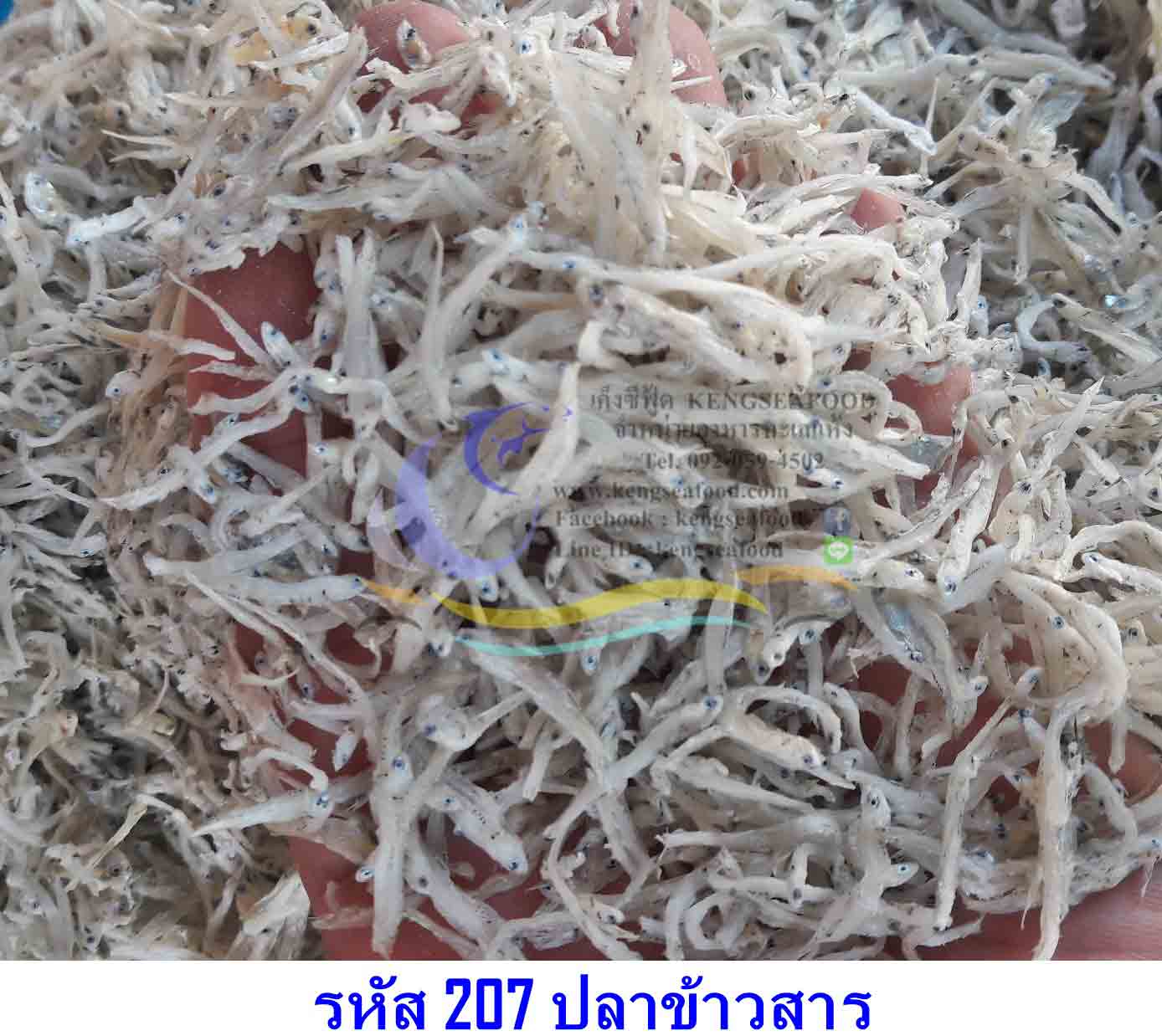 ปลาข้าวสาร