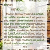 "Modern Garden Thailand "
