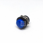 R13-507 Button Blue