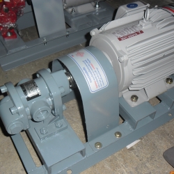 ชุดประกอบ ปั้มเฟือง Koshin