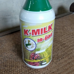 K-MILK เค-มิลค์