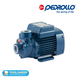 ปั๊มน้ำหอยโข่ง PEDROLLO รุ่น PKM60 Series