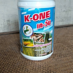K-ONE เค-วัน