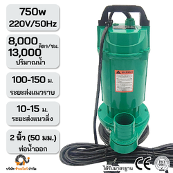 ปั๊มไดโว่ ไฟฟ้า 750W 220V Sigel ท่อ 2 นิ้ว