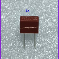 ฟิวส์เหลี่ยม2A 250V