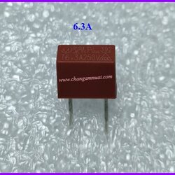 ฟิวส์เหลี่ยม6.3A 250V