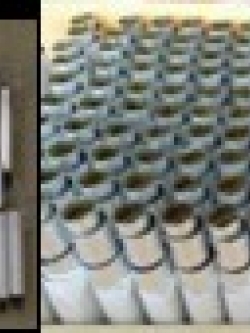 cocktail tube mix size (ราคาลัง)