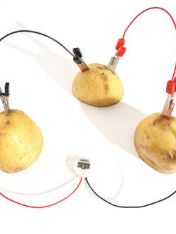 ชุดทดลอง แบตเตอรี่จากผลไม้ Bio Energy