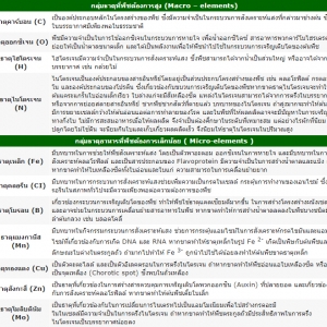 ความรู้ทั่วไปเกี่ยวกับ ไฮโดรโปนิกส์ ตอนที่ 2