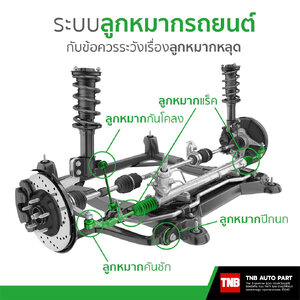 🤔รู้หรือไม่ หน้าที่ของลูกหมาก คืออะไร❓