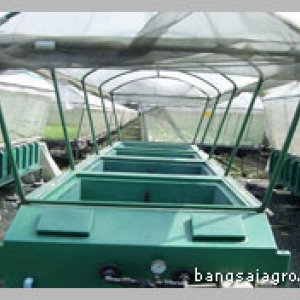 ขั้นตอนการปลูกพืชในระบบแอโรโพนิกส์