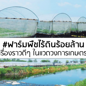 #ฟาร์มพืชไร้ดินร้อยล้าน เรื่องราวดีๆ ในแวดวงการเกษตร