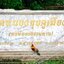 * ""ตะกรุดหนังหน้าผากพญาเสือโคร่ง พยัคฆ์ ๙ พลัง" หลวงพ่อจำเนียร สีลเสฏโฐ (ขนาด 6.7 ซม. เลี่ยมเดิมๆ จากวัด..!)..."หลวงพ่อจำเนียร" มนต์จารมือ สร้าง และแผ่อภิญญาณฤทธิ์อธิษฐานจิตปรกปลุกเสก ประจุ "คุณวิเศษ" อย่างเข้มขลังเอกอุ