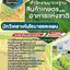 แนวข้อสอบนักวิเคราะห์นโยบายและแผน มกอช. สำนักงานมาตรฐานสินค้าเกษตรและอาหารแห่งชาติ