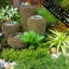 รับออกแบบจัดสวน ปรับภูมิทัศน์สถานที่ต่างๆอาทิ บ้าน-คอนโด ร้านกาแฟ