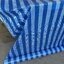 Blue Sheet ผ้าใบพลาสติก